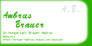 ambrus brauer business card